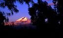 Cotopaxi Volcano as seen from our camping spot within the grounds of the Ecologic Lodge.